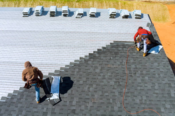 Best New Roof Installation  in Williamsburg, KY