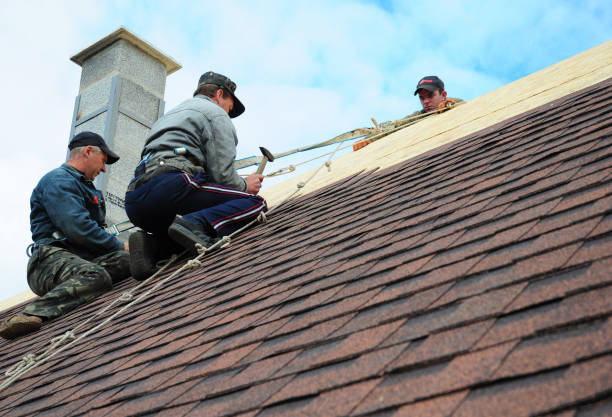 Best Emergency Roof Repair  in Williamsburg, KY